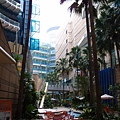 PA070169_調整大小.JPG