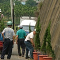 植樹活動0007_調整大小