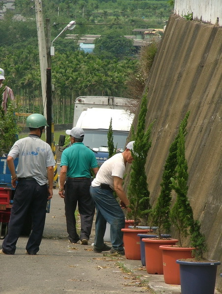 社區植樹1007