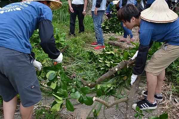 大專生洄游0039