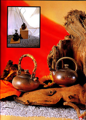 徐兆平2 徐兆平2