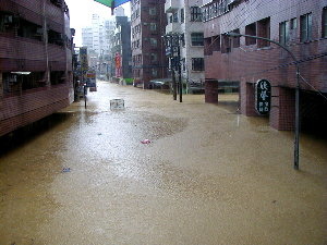 忠孝東路大淹水-縮小