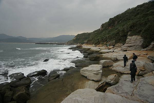 _MG_0426 _MG_0426