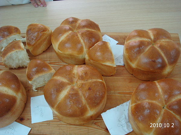 DSC05380.JPG