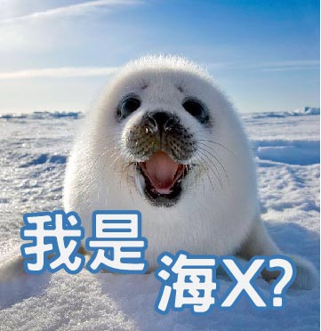 100+ 图片 海獅 新的 27 海象、海獅、海豹、海狗如何分別? @ 海川魚舖-網路冰箱:: 痞客邦::