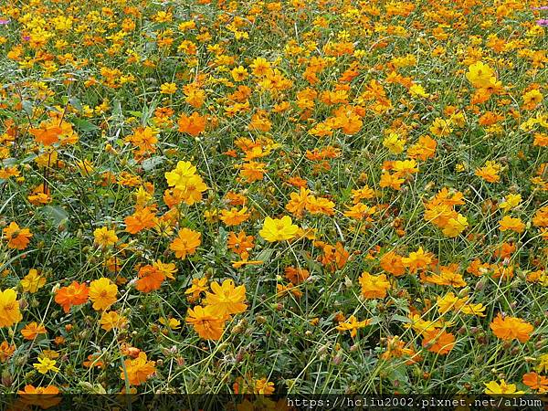 P1060041.JPG P1060041.JPG