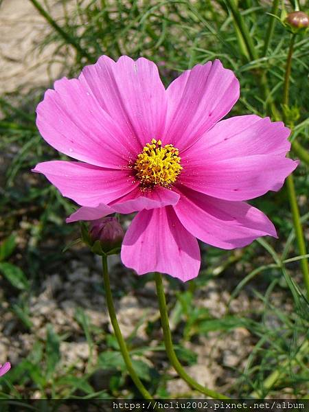 P1020688.JPG P1020688.JPG