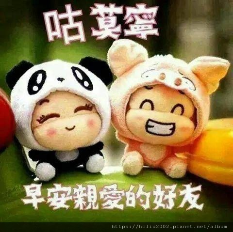 0早安3.jpg
