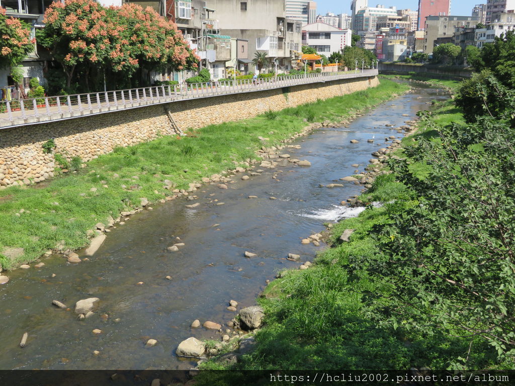 IMG_0081.JPG IMG_0081.JPG