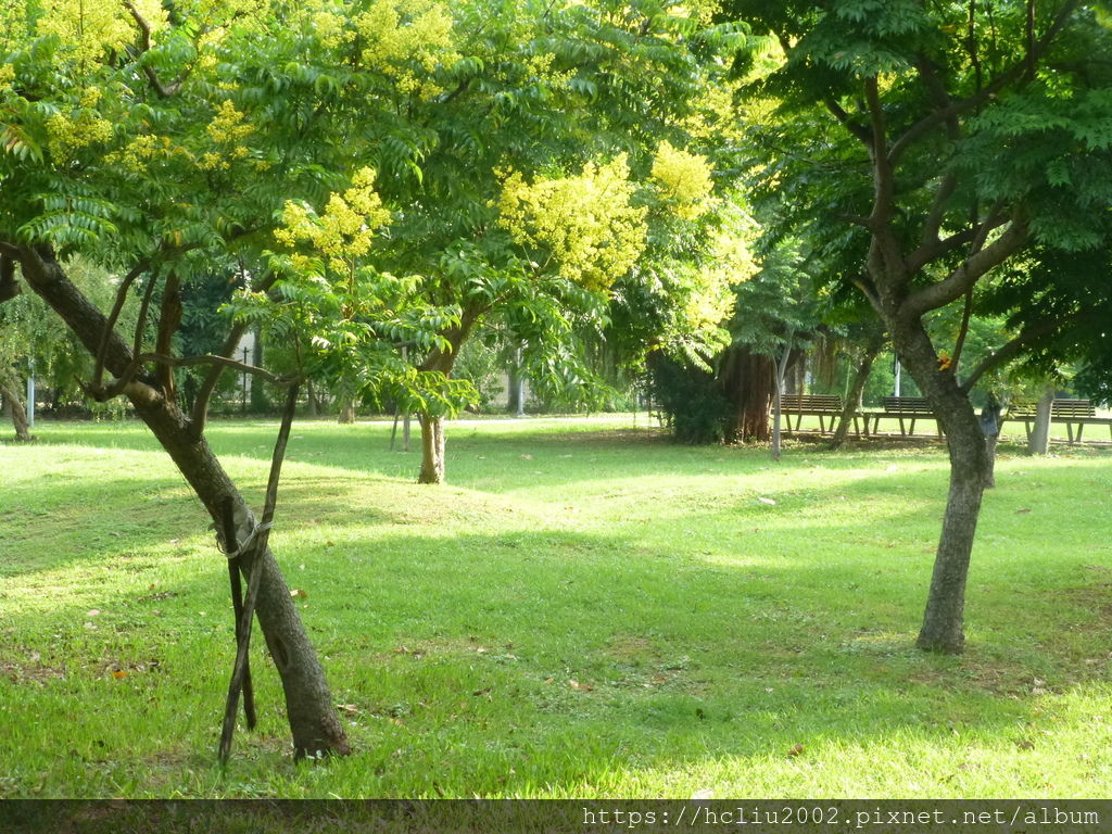 P1080508.JPG P1080508.JPG