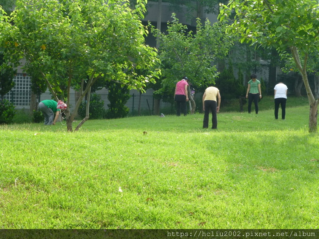 P1080514.JPG P1080514.JPG