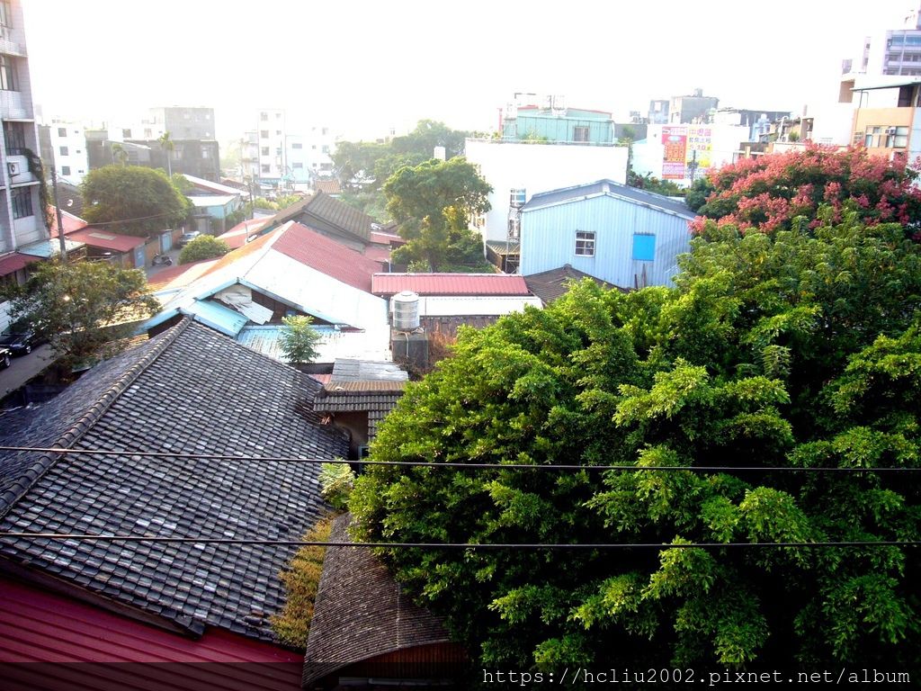 2006-1.JPG 2006-1.JPG