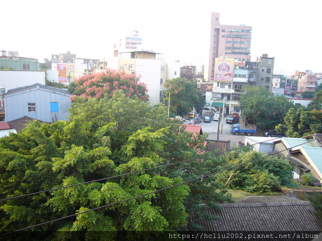 2006-3.JPG 2006-3.JPG