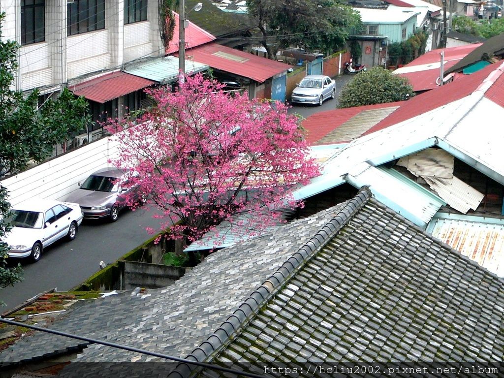 2007-2.JPG 2007-2.JPG