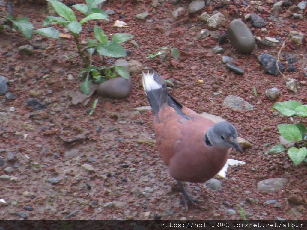 2014-1 (1).JPG 2014-1 (1).JPG