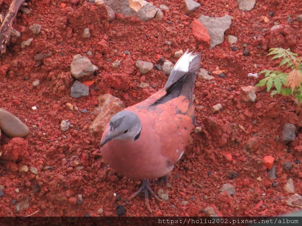 2014-1 (2).JPG 2014-1 (2).JPG