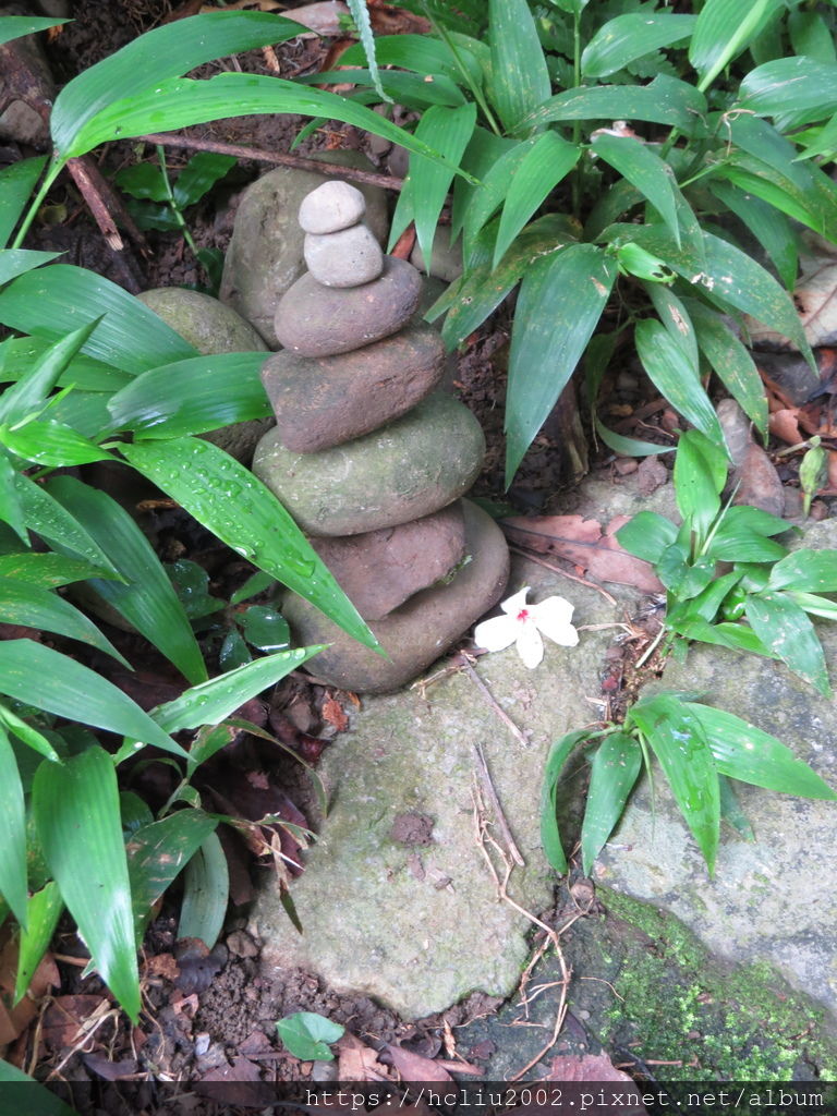 IMG_9176.JPG IMG_9176.JPG