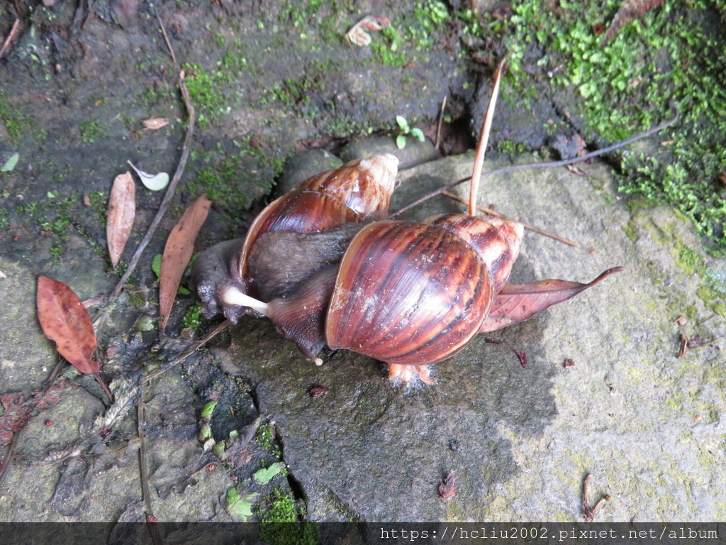 IMG_9180.JPG IMG_9180.JPG