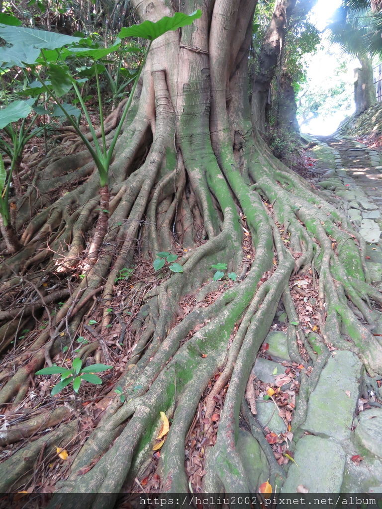 IMG_9184.JPG IMG_9184.JPG