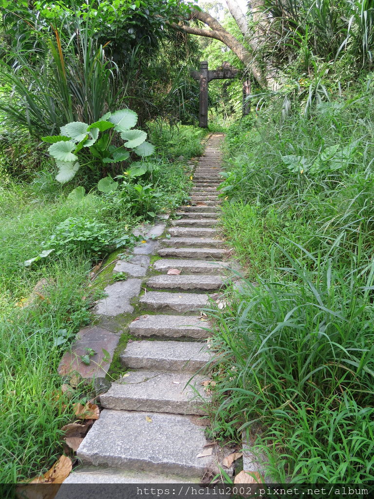 IMG_9161.JPG IMG_9161.JPG