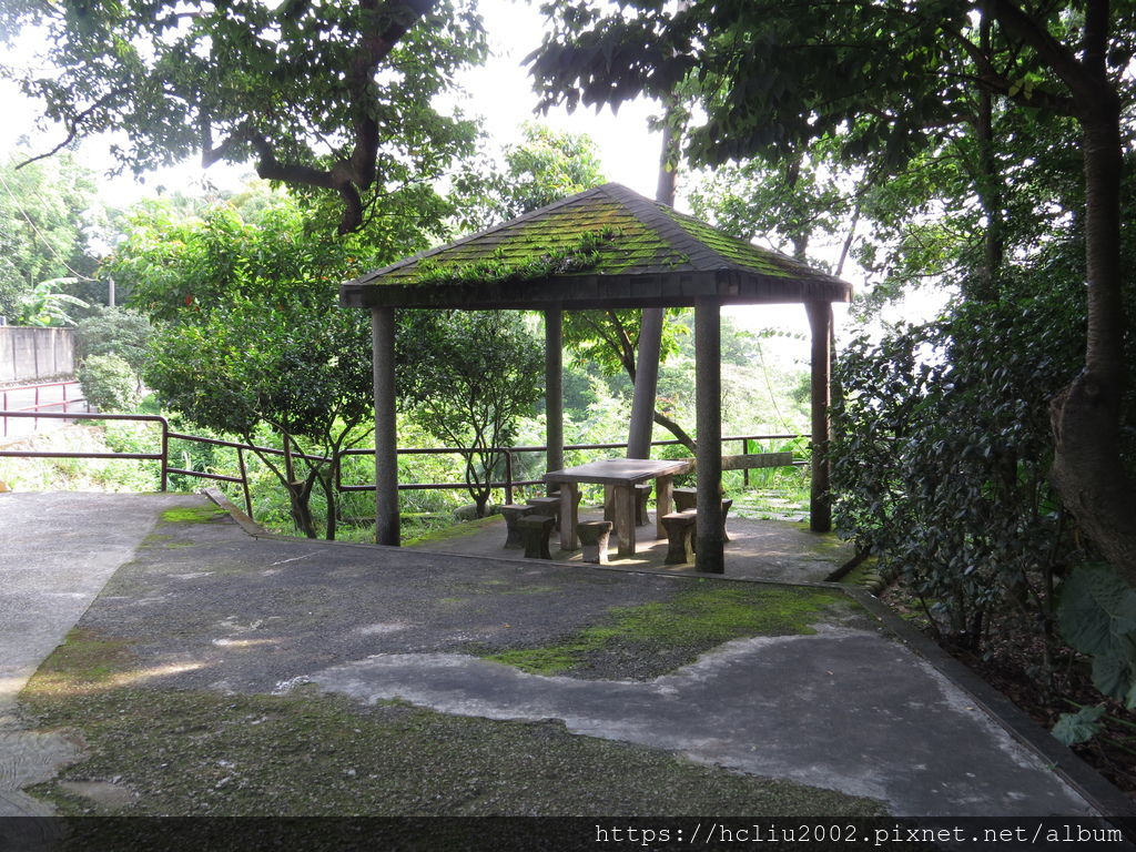 IMG_9193.JPG IMG_9193.JPG