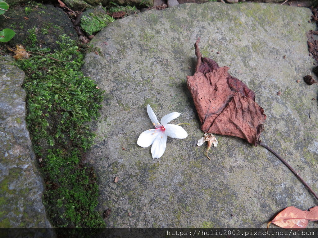 IMG_9307.JPG IMG_9307.JPG