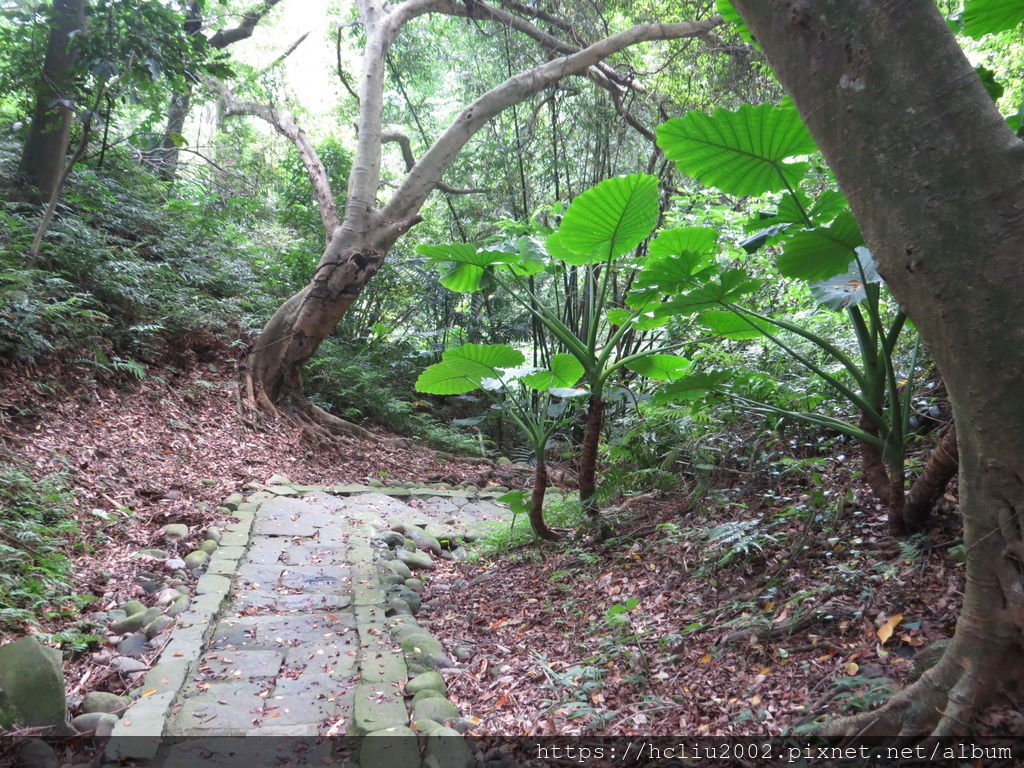 IMG_9303.JPG IMG_9303.JPG