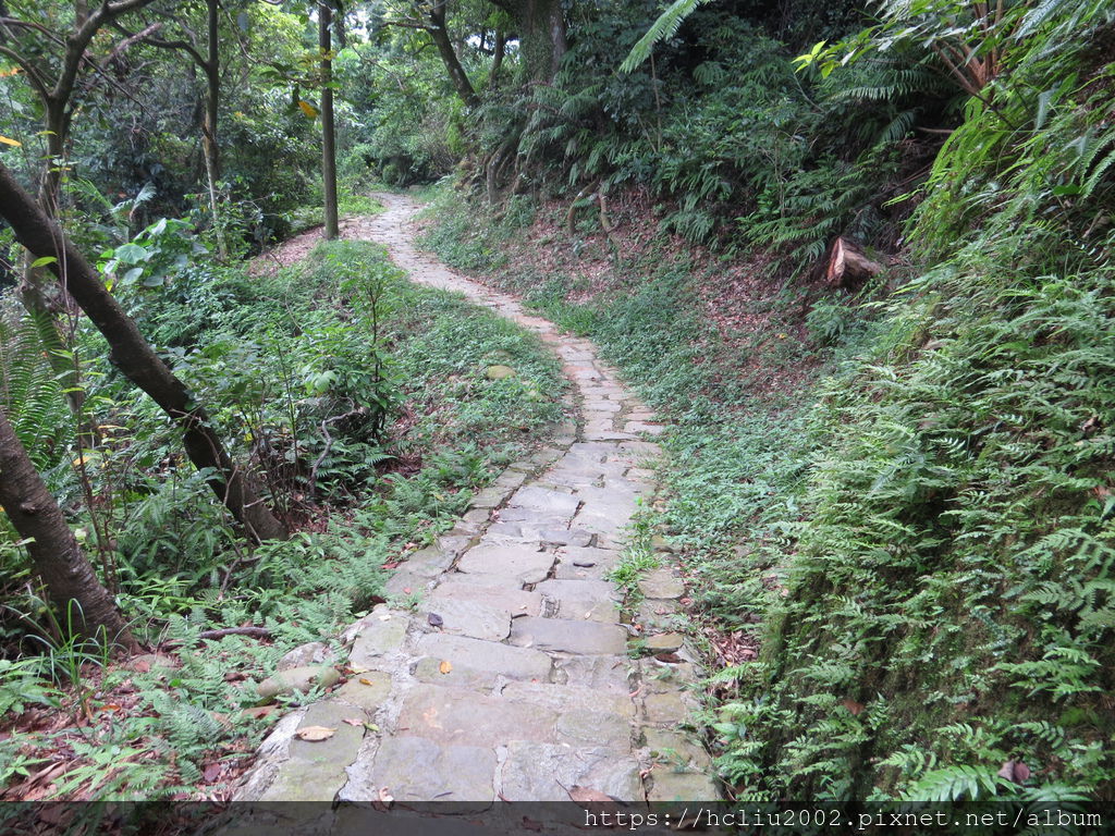 IMG_9308.JPG IMG_9308.JPG