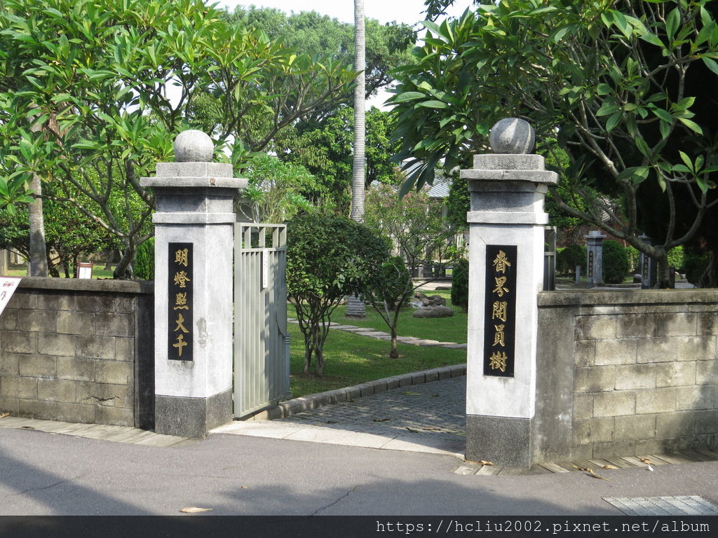 IMG_9247.JPG IMG_9247.JPG