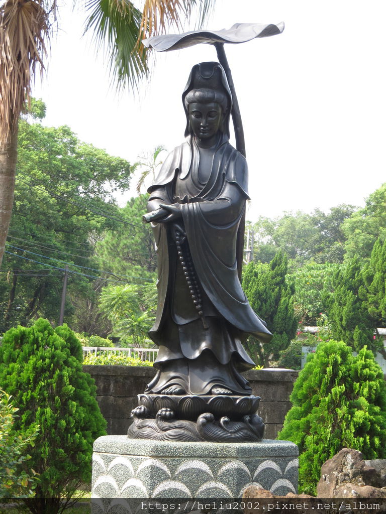 IMG_9251.JPG IMG_9251.JPG