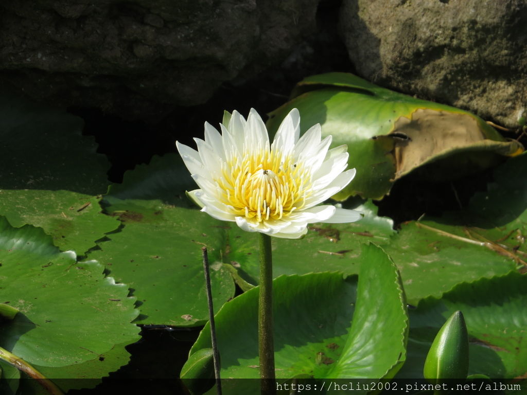 IMG_9254.JPG IMG_9254.JPG