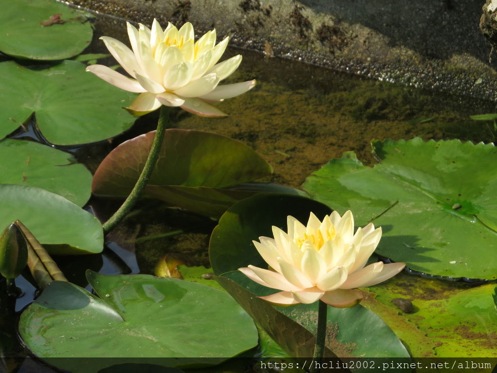 IMG_9255.JPG IMG_9255.JPG