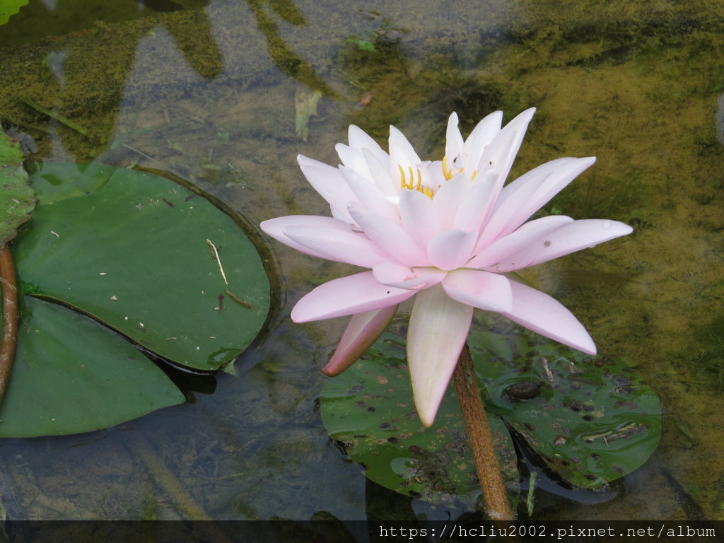 IMG_9252.JPG IMG_9252.JPG