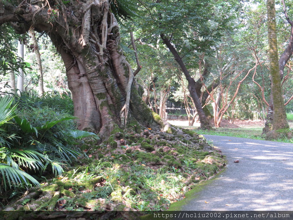 IMG_9229.JPG IMG_9229.JPG