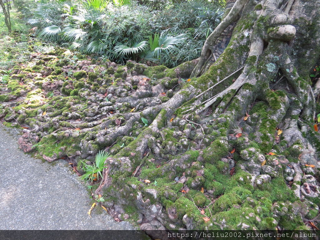 IMG_9207.JPG IMG_9207.JPG