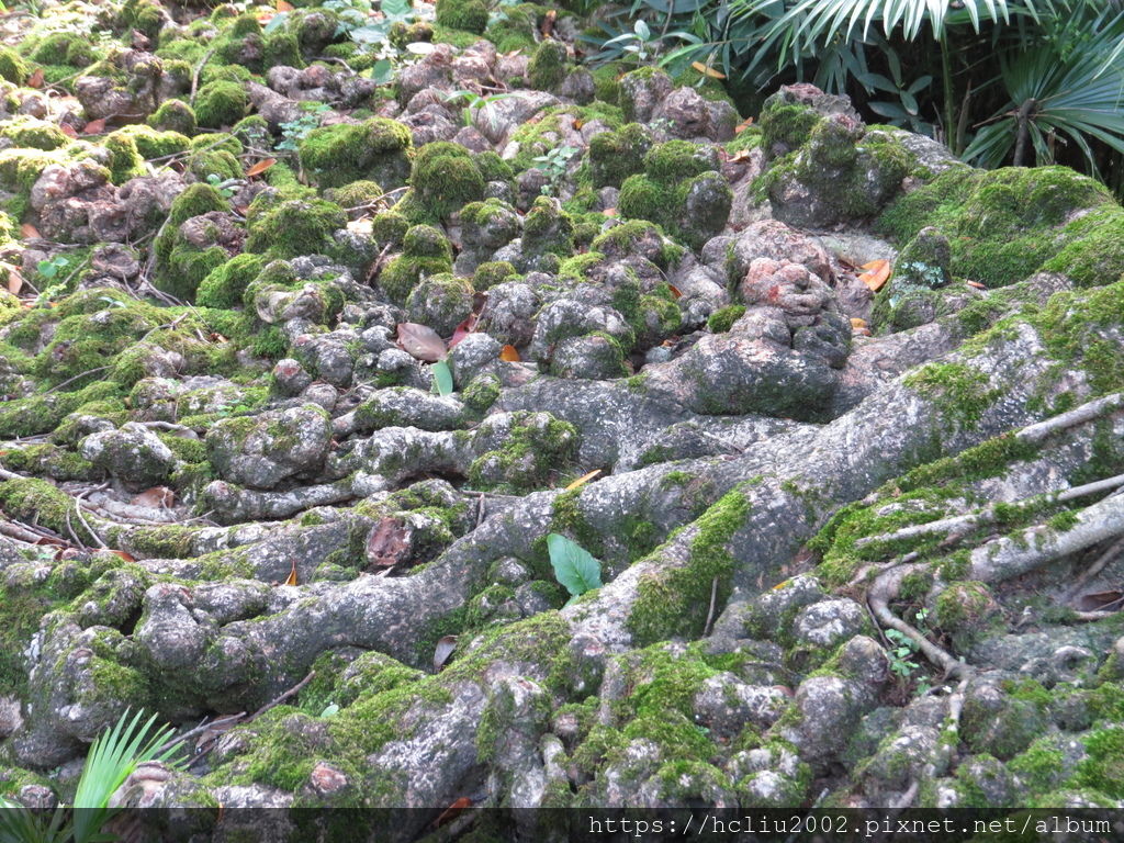 IMG_9206.JPG IMG_9206.JPG