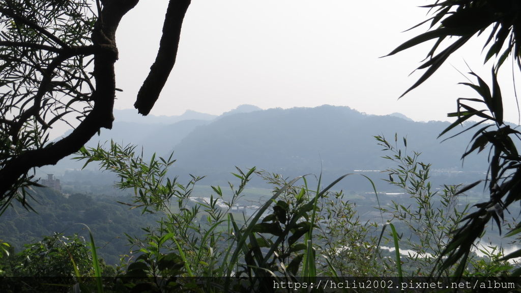 IMG_9196.JPG IMG_9196.JPG