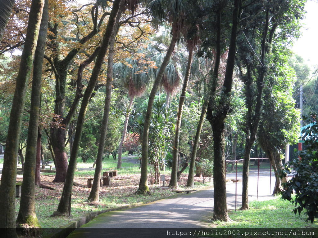 IMG_9224.JPG IMG_9224.JPG