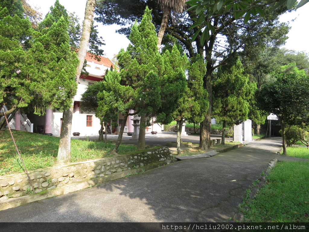 IMG_9215.JPG IMG_9215.JPG