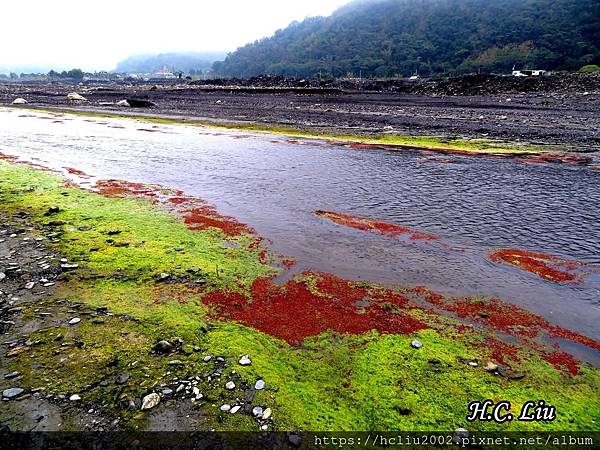 IMG_4372a_结果.JPG IMG_4372a_结果.JPG