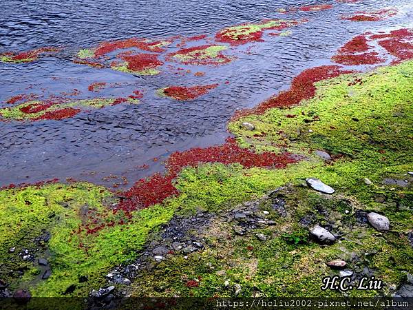 IMG_4376a_结果.JPG IMG_4376a_结果.JPG