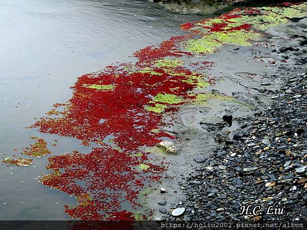 IMG_4397a_结果.JPG IMG_4397a_结果.JPG