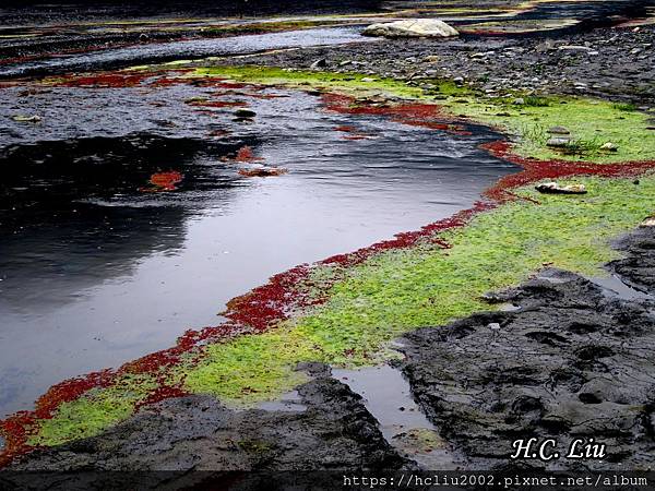 IMG_4403a_结果.JPG IMG_4403a_结果.JPG