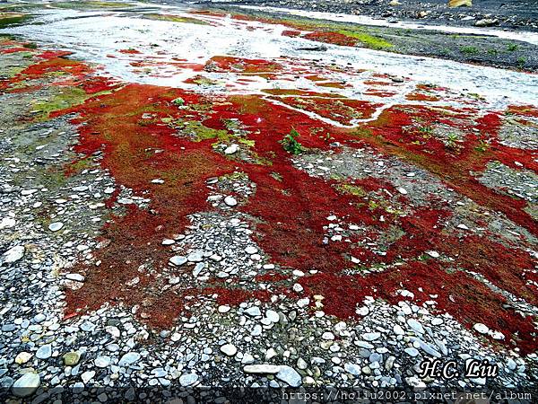 IMG_4419a_结果.JPG IMG_4419a_结果.JPG