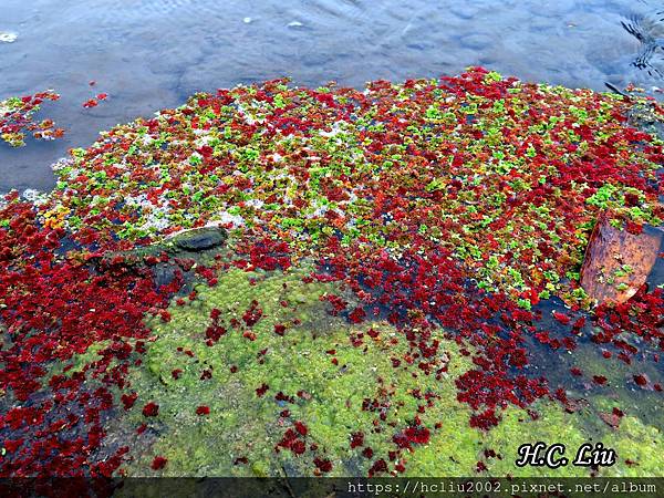 IMG_4423a_结果.JPG IMG_4423a_结果.JPG