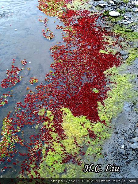 IMG_4434a_结果.JPG IMG_4434a_结果.JPG