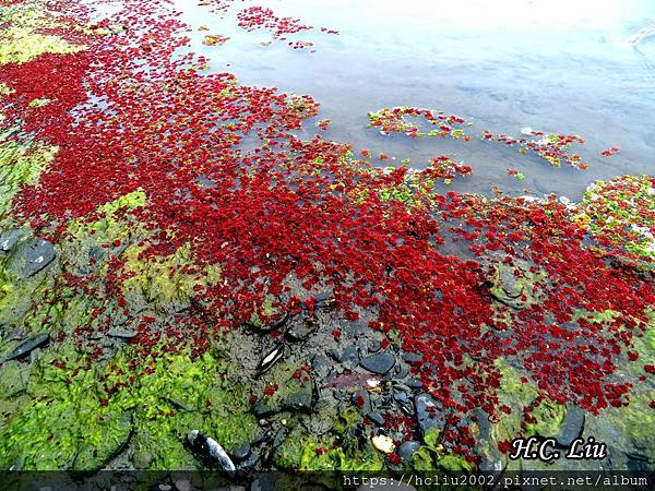 IMG_4427a_结果.JPG IMG_4427a_结果.JPG