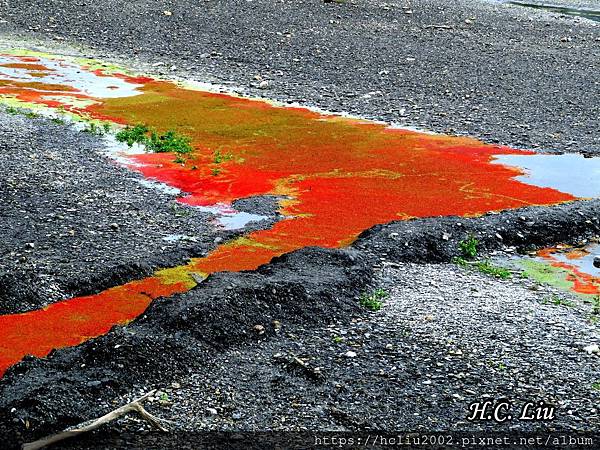 IMG_4449a_结果.JPG IMG_4449a_结果.JPG