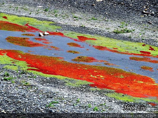 IMG_4457a_结果.JPG IMG_4457a_结果.JPG