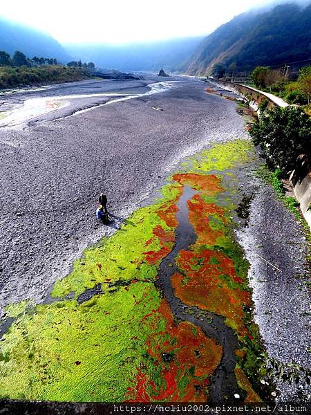 IMG_4474a.JPG IMG_4474a.JPG